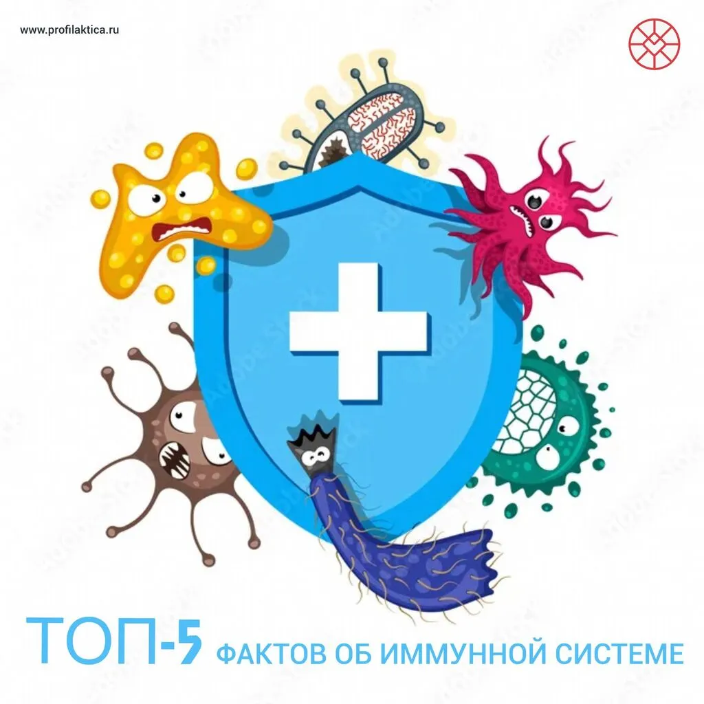 Топ 5 фактов об иммунной системе